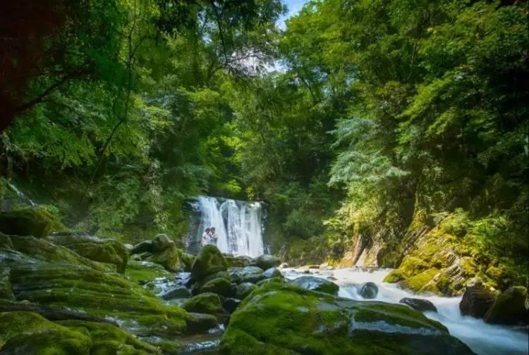 深度交流,尽在【春季旅游,北京有哪些值得打卡的景点?】